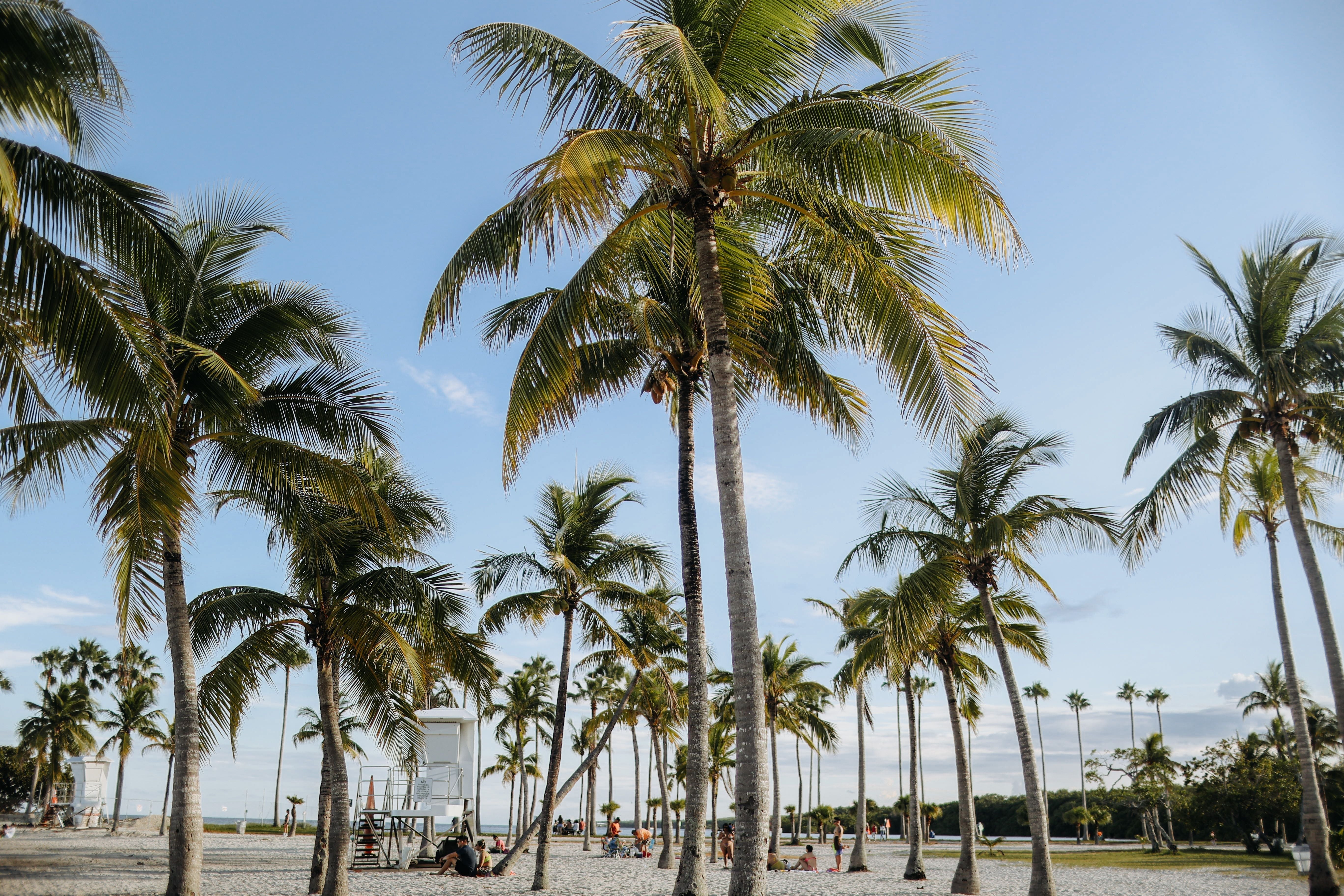 Fort Lauderdale International Boat Show